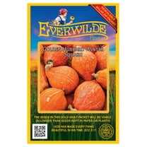 Everwilde Farms - 40 Golden Hubbard Winter Squash Seeds - Gold Vault Jumbo Bulk Seed Packet