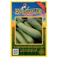 thumbnail image 1 of Everwilde Farms - 40 Gray Zucchini Summer Squash Seeds - Gold Vault Seed Packet, 1 of 5