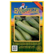 Everwilde Farms - 40 Gray Zucchini Summer Squash Seeds - Gold Vault Seed Packet