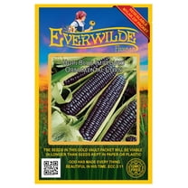 Everwilde Farms - 40 Hopi Blue Improved Ornamental Corn Seeds - Gold Vault Seed Packet