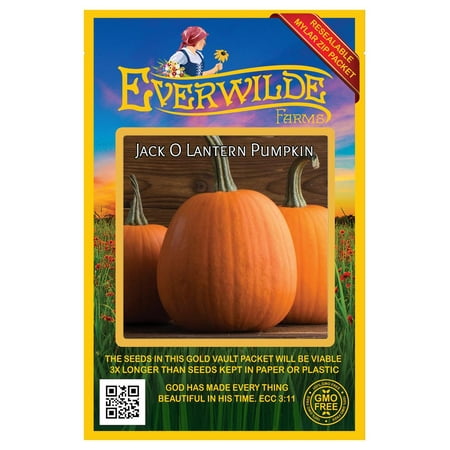 Everwilde Farms - 40 Jack O Lantern Pumpkin Seeds - Gold Vault Jumbo Bulk Seed Packet