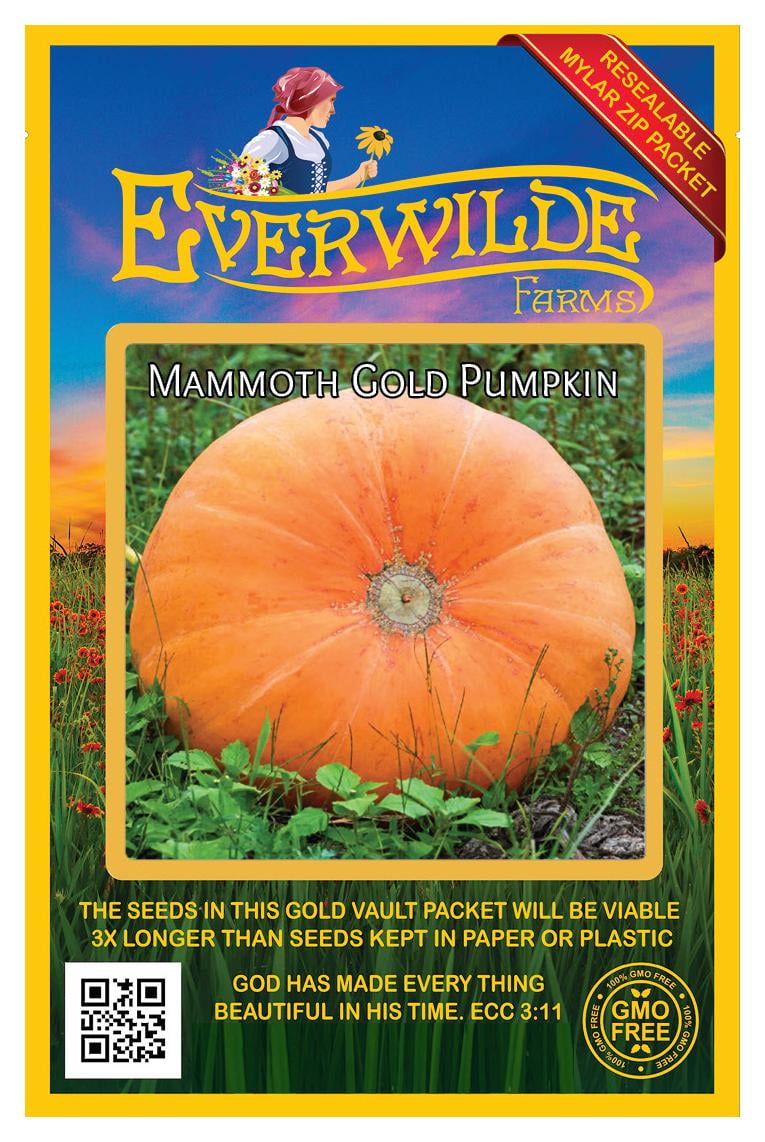 Everwilde Farms 40 Mammoth Gold Pumpkin Seeds Gold Vault Jumbo Bulk