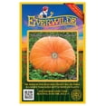 thumbnail image 1 of Everwilde Farms - 40 Mammoth Gold Pumpkin Seeds - Gold Vault Seed Packet, 1 of 5