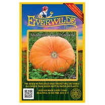 Everwilde Farms - 40 Mammoth Gold Pumpkin Seeds - Gold Vault Seed Packet