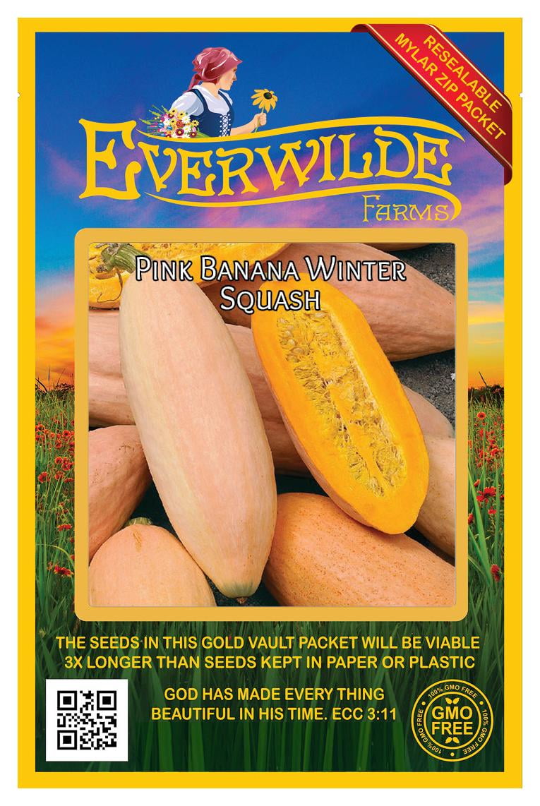 Everwilde Farms - 40 Pink Banana Winter Squash Seeds - Gold