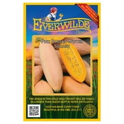 Everwilde Farms - 40 Pink Banana Winter Squash Seeds - Gold Vault Jumbo Bulk Seed Packet
