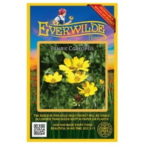Everwilde Farms - 40 Prairie Coreopsis Native Wildflower Seeds - Gold Vault Seed Packet