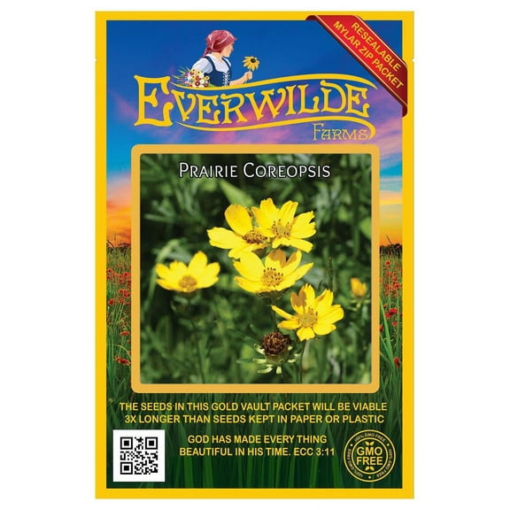 Everwilde Farms - 40 Prairie Coreopsis Native Wildflower Seeds - Gold Vault Seed Packet