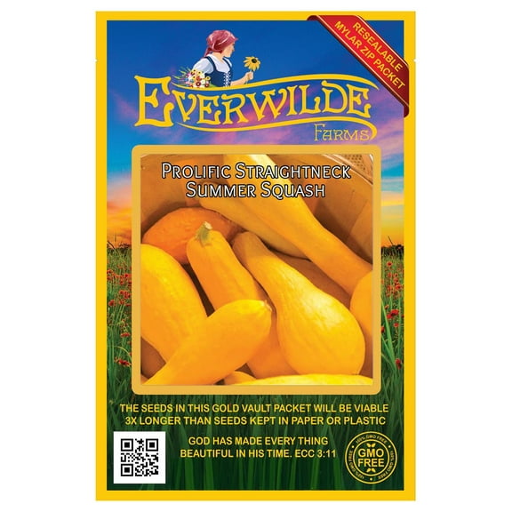 Everwilde Farms - 40 Prolific Straightneck Summer Squash Seeds - Gold Vault Seed Packet