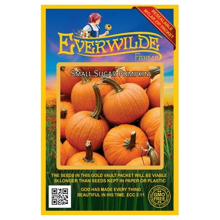 Everwilde Farms 40 Small Sugar Pumpkin Plant Seeds, Open Pollinated Heirloom