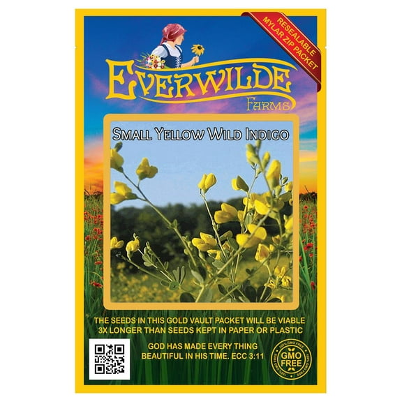 Everwilde Farms - 40 Yellow Wild Indigo Native Wildflower Seeds - Gold Vault Seed Packet