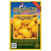 Everwilde Farms - 40 Yellow Bush Scallop Summer Squash Seeds - Gold Vault Jumbo Bulk Seed Packet
