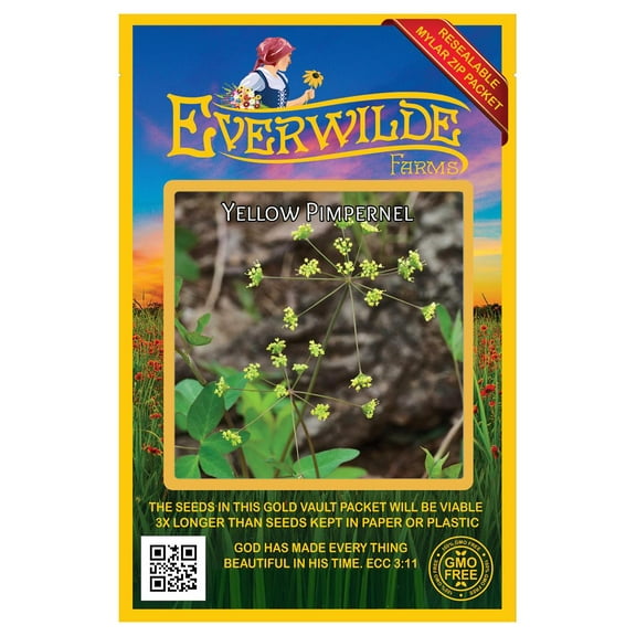 Everwilde Farms - 40 Yellow Pimpernel Native Wildflower Seeds - Gold Vault Seed Packet