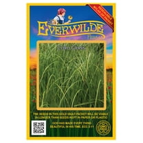 Everwilde Farms - 400 Cord Grass Native Grass Seeds - Gold Vault Jumbo Bulk Seed Packet