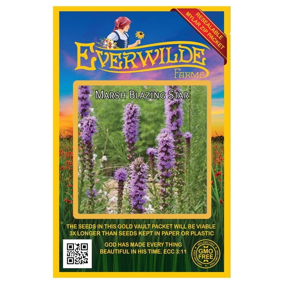 Everwilde Farms - 400 Marsh Blazing Star Native Wildflower Seeds - Gold Vault Jumbo Bulk Seed Packet