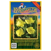 Everwilde Farms 400 Missouri Evening Primrose Flower Seeds, Native Wildflower