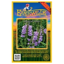 Everwilde Farms - 400 Obedient Plant Native Wildflower Seeds - Gold Vault Seed Packet