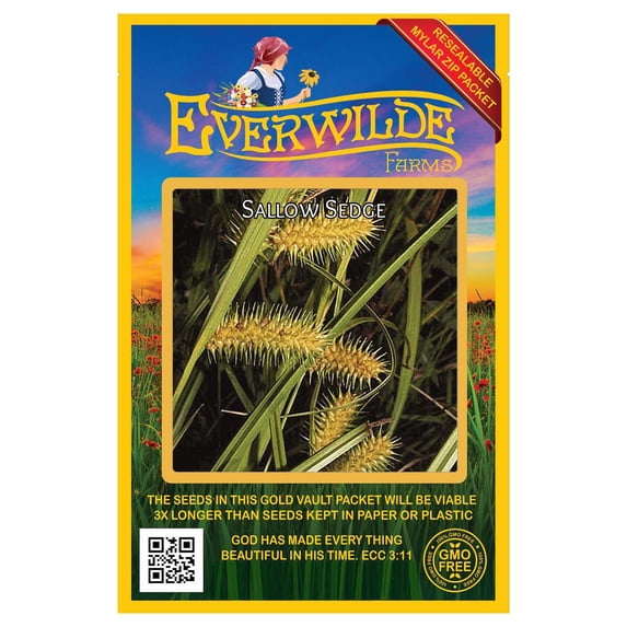 Everwilde Farms - 400 Sallow Sedge Native Grass Seeds - Gold Vault Jumbo Bulk Seed Packet