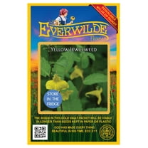 Everwilde Farms - 5 Yellow Jewelweed Native Wildflower Seeds - Gold Vault Seed Packet