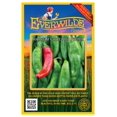 thumbnail image 1 of Everwilde Farms - 50 Anaheim Chile Hot Pepper Seeds - Gold Vault Seed Packet, 1 of 5