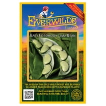 Everwilde Farms - 50 Baby Fordhook Lima Bean Seeds - Gold Vault Jumbo Bulk Seed Packet