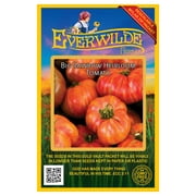 Everwilde Farms - 50 Big Rainbow Heirloom Tomato Seeds - Gold Vault Jumbo Bulk Seed Packet