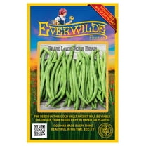 Everwilde Farms - 50 Blue Lake Pole Bean Seeds - Gold Vault Jumbo Bulk Seed Packet
