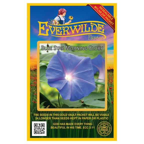 Everwilde Farms - 50 Blue Star Morning Glory Garden Flower Seeds - Gold Vault Jumbo Bulk Seed Packet