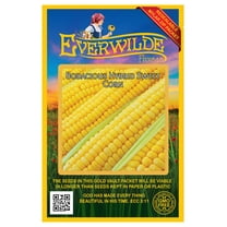 Everwilde Farms - 50 Bodacious F1 Hybrid Yellow Sweet Corn Seeds - Gold Vault Jumbo Bulk Seed Packet