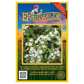Everwilde Farms - 50 Flowering Spurge Native Wildflower Seeds - Gold Vault Seed Packet