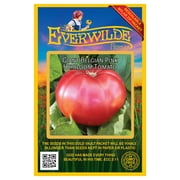 Everwilde Farms - 50 Giant Belgian Pink Heirloom Tomato Seeds - Gold Vault Jumbo Bulk Seed Packet