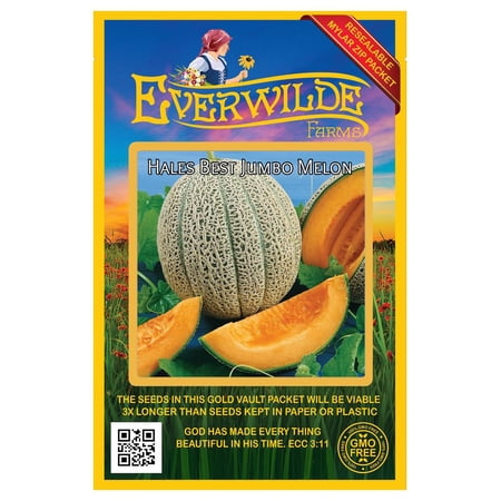 Everwilde Farms - 50 Hales Best Jumbo Melon Seeds - Gold Vault Jumbo Bulk Seed Packet