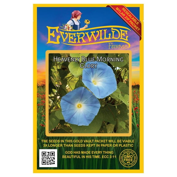 Everwilde Farms - 50 Heavenly Blue Morning Glory Garden Flower Seeds - Gold Vault Jumbo Bulk Seed Packet