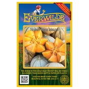 Everwilde Farms - 50 Honey Rock Melon Seeds - Gold Vault Jumbo Bulk Seed Packet
