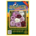 thumbnail image 1 of Everwilde Farms - 50 Pincushion Flower Mix Wildflower Seeds - Gold Vault Seed Packet, 1 of 5