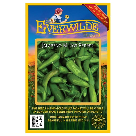 Everwilde Farms - 50 Jalapeno M Hot Pepper Seeds - Gold Vault Jumbo Bulk Seed Packet