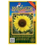 Everwilde Farms - 50 Lemon Queen Sunflower Garden Flower Seeds - Gold Vault Jumbo Bulk Seed Packet