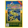 thumbnail image 1 of Everwilde Farms - 50 Maryland Senna Native Wildflower Seeds - Gold Vault Jumbo Bulk Seed Packet, 1 of 4