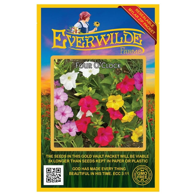 Everwilde Farms 50 Mixed Four O Clock Garden Flower Seeds Gold