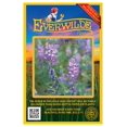 thumbnail image 1 of Everwilde Farms - 50 Mojave Lupine Native Wildflower Seeds - Gold Vault Seed Packet, 1 of 4