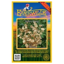 Everwilde Farms - 50 Money Plant Garden Flower Seeds - Gold Vault Jumbo Bulk Seed Packet