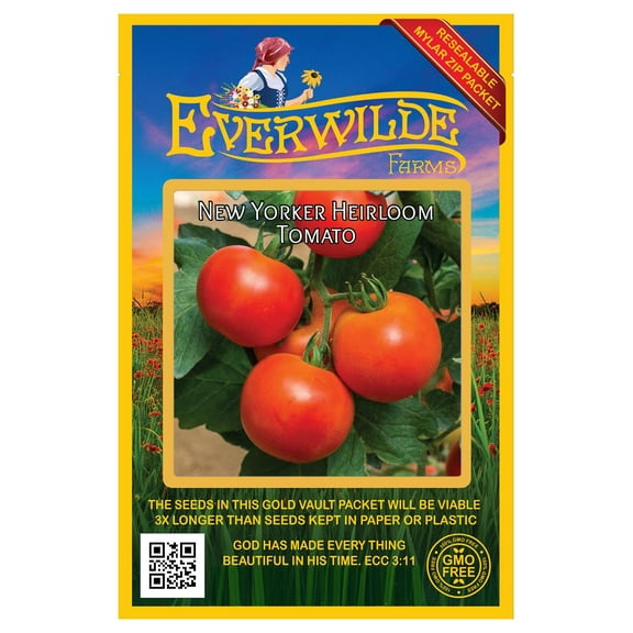 Everwilde Farms - 50 New Yorker Heirloom Tomato Seeds - Gold Vault Seed Packet