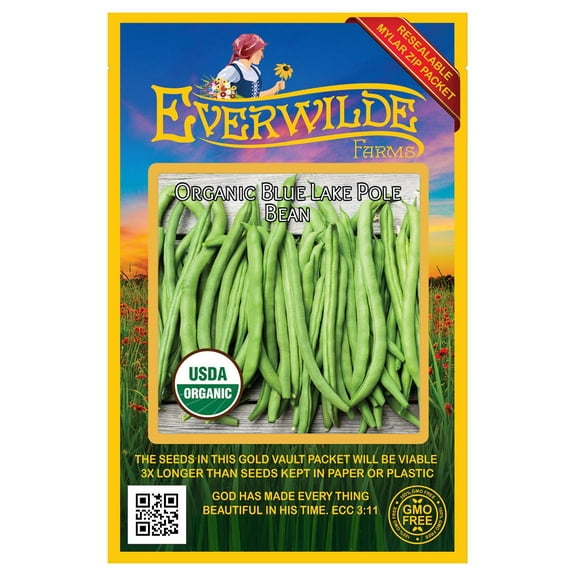 Everwilde Farms - 50 Organic Blue Lake Pole Bean Seeds - Gold Vault Jumbo Bulk Seed Packet
