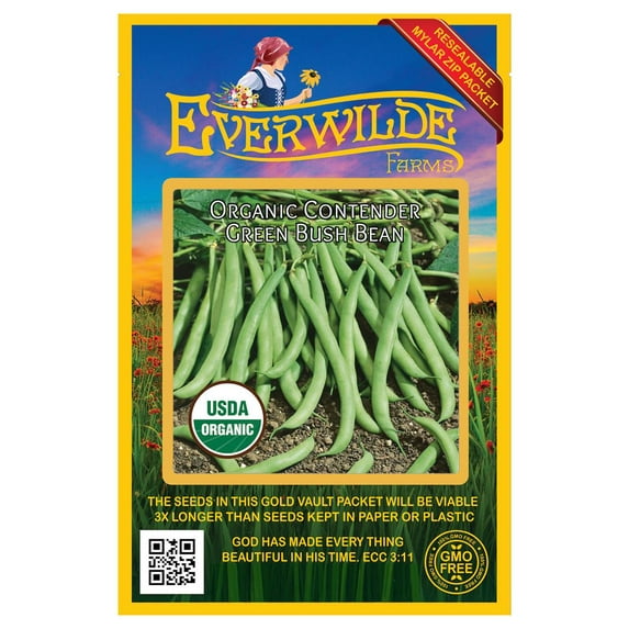 Everwilde Farms - 50 Organic Contender Green Bush Bean Seeds - Gold Vault Jumbo Bulk Seed Packet