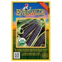 Everwilde Farms - 50 Organic Hopi Blue Improved Ornamental Corn Seeds - Gold Vault Jumbo Bulk Seed Packet