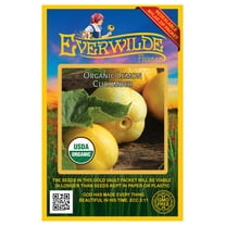 Everwilde Farms - 50 Organic Lemon Cucumber Seeds - Gold Vault Jumbo Bulk Seed Packet