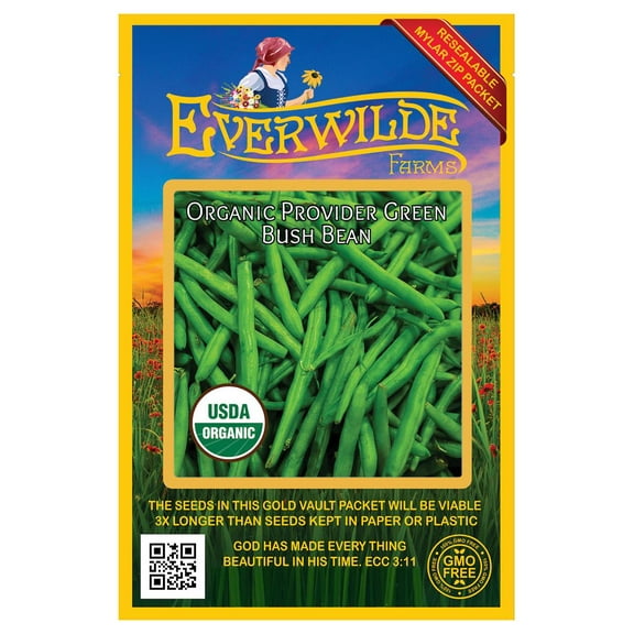 Everwilde Farms - 50 Organic Provider Green Bush Bean Seeds - Gold Vault Jumbo Bulk Seed Packet