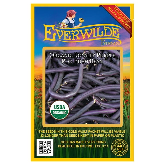 Everwilde Farms - 50 Organic Royalty Purple Pod Green Bush Bean Seeds - Gold Vault Jumbo Bulk Seed Packet