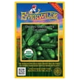 thumbnail image 1 of Everwilde Farms - 50 Organic Spacemaster Cucumber Seeds - Gold Vault Jumbo Bulk Seed Packet, 1 of 5