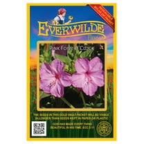Everwilde Farms - 50 Pink Four O Clock Garden Flower Seeds - Gold Vault Jumbo Bulk Seed Packet